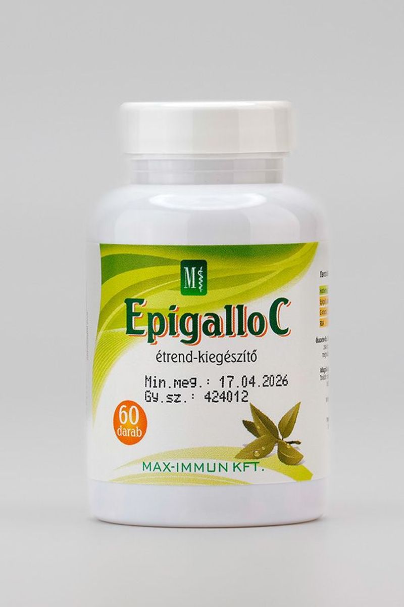 Varga Gomba  Epigallo C