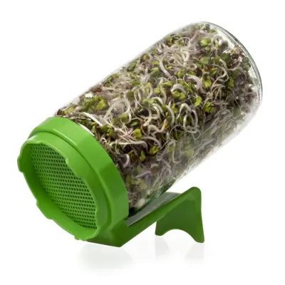 Dénes Natura Csíráztató üvegedény-zöld